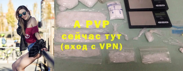 индика Балабаново