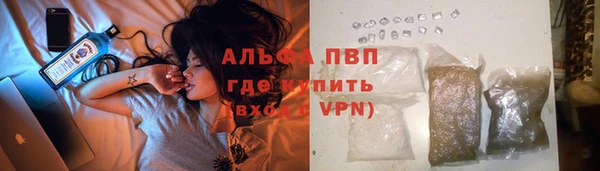 индика Балабаново