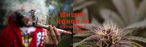 индика Балабаново
