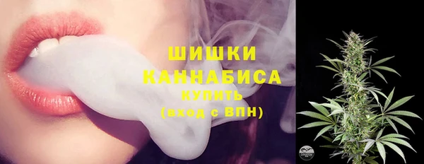 ПСИЛОЦИБИНОВЫЕ ГРИБЫ Баксан