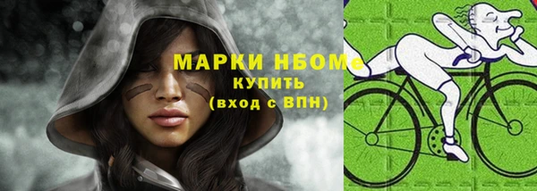 индика Балабаново