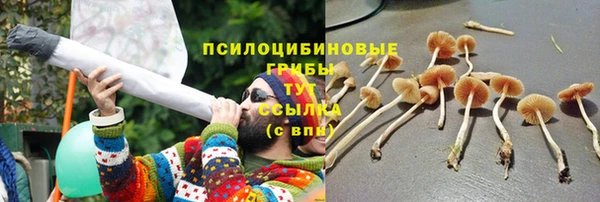 ПСИЛОЦИБИНОВЫЕ ГРИБЫ Баксан