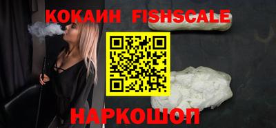 крисы Кунгур
