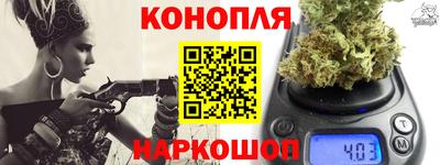 крисы Кунгур