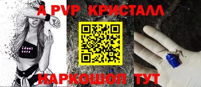 крисы Кунгур