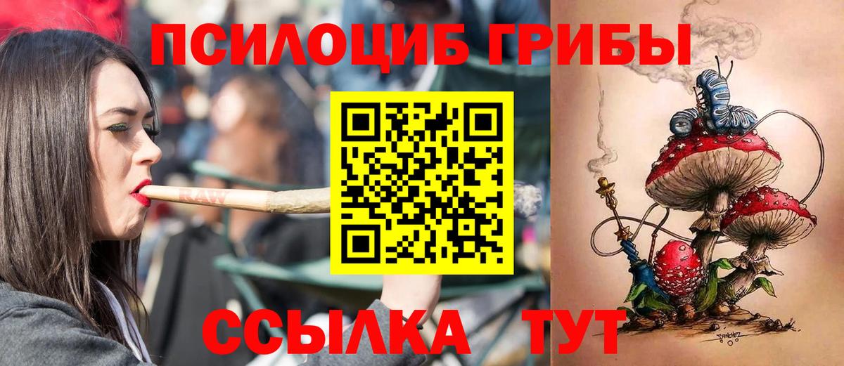 Усть-Джегута  Псилоцибиновые грибы GOLDEN TEACHER  Вход с VPN  Псилоцибиновые грибы Cubensis 